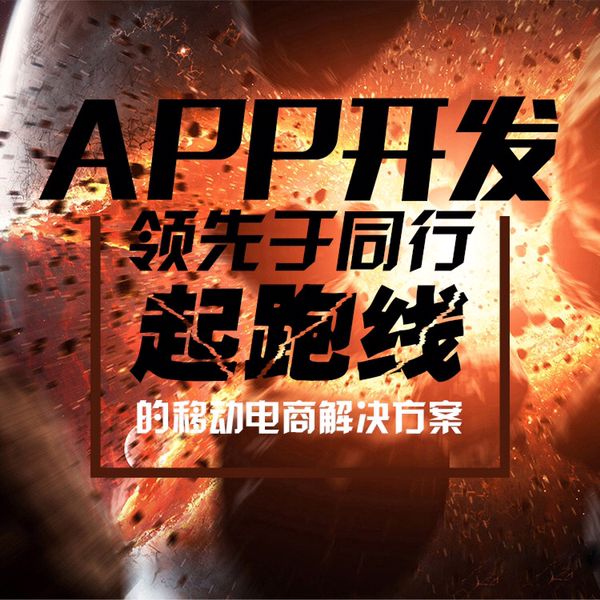 广东带源码的贷还app系统开发流程