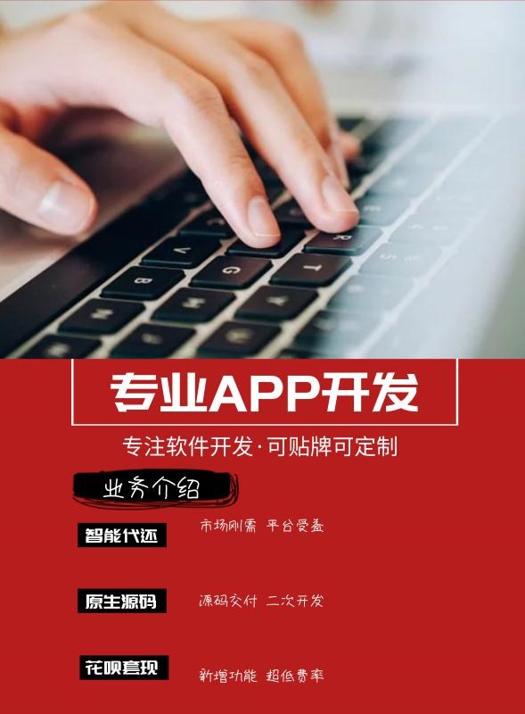 代还软件开发 空卡代还APP开发定制贴牌