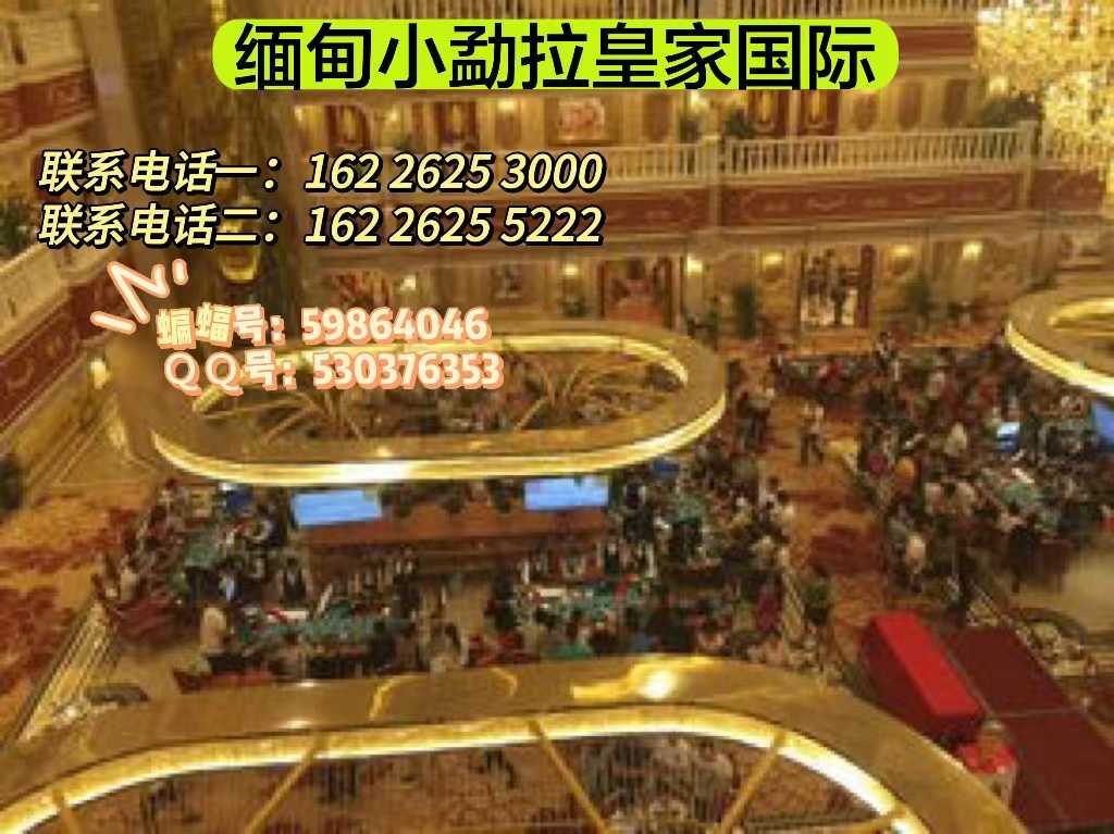 热线#小勐拉皇家厅客服咨询开户电话：162-2625-3000