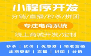 小程序商城开发小程序开发