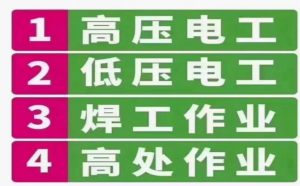 （重庆市涪陵区）低压电工登高架设作业证书-每月考试